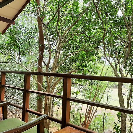Elephant Lodge Udawalawe Kültér fotó