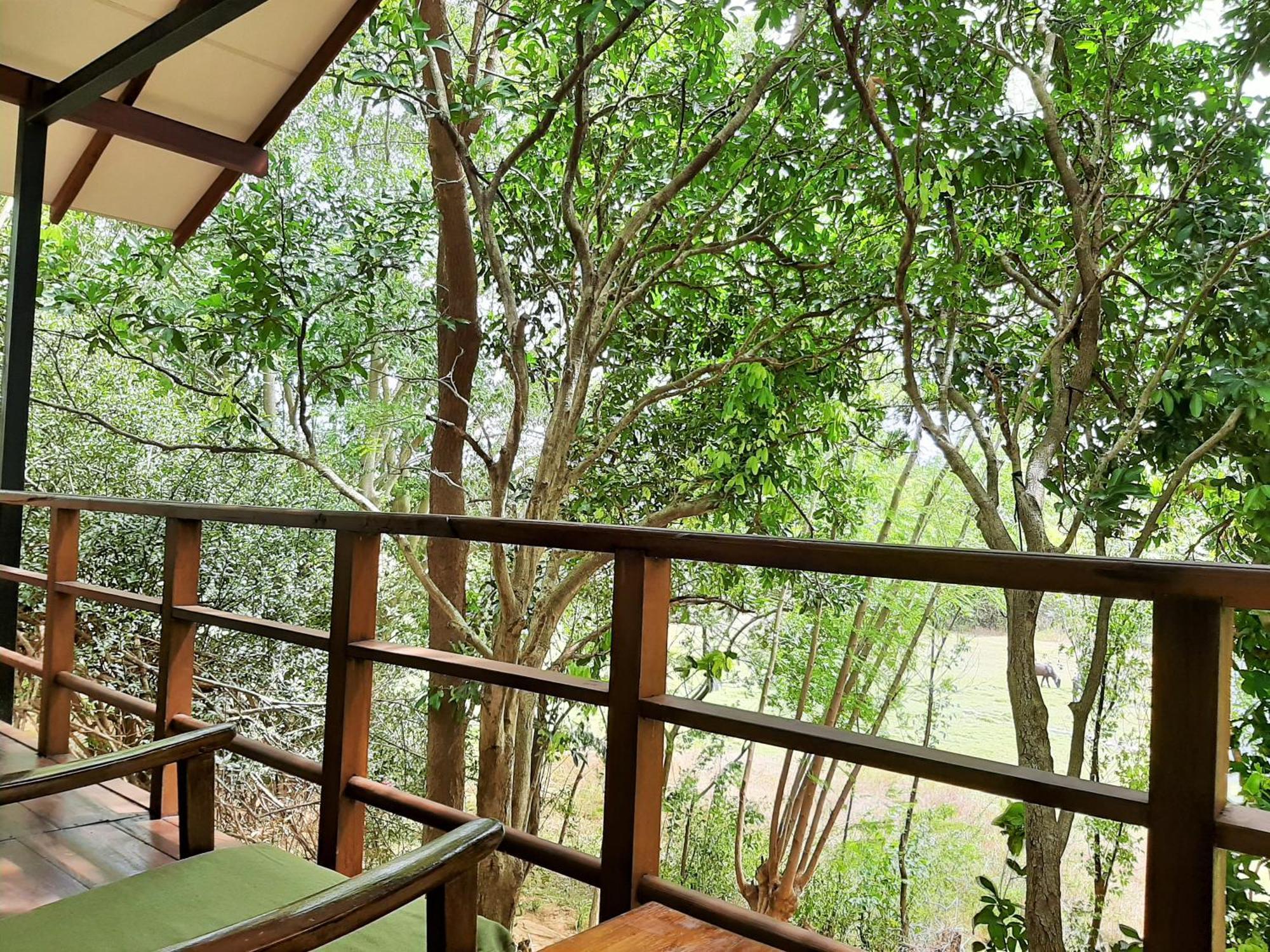 Elephant Lodge Udawalawe Kültér fotó