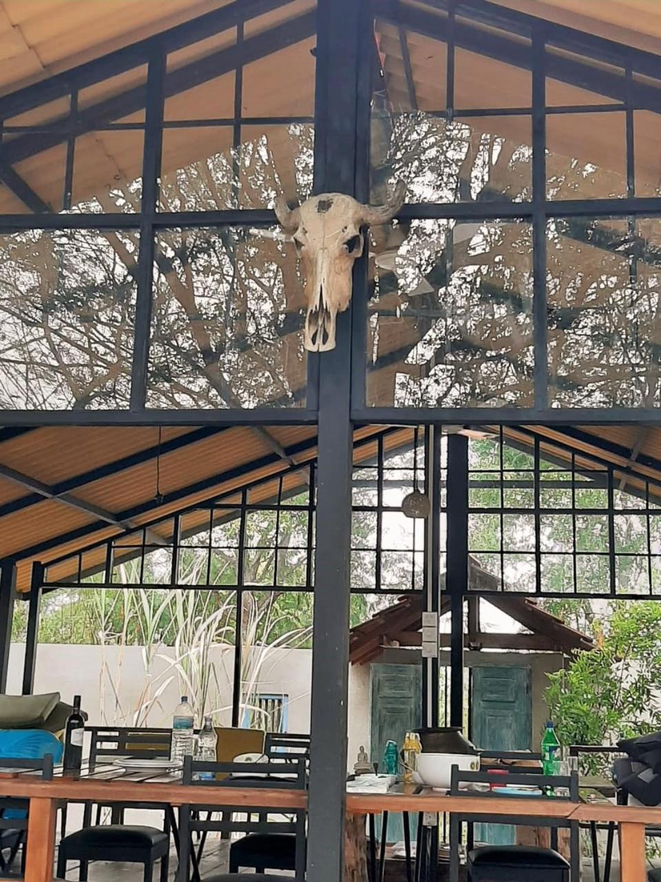 Elephant Lodge Udawalawe Kültér fotó
