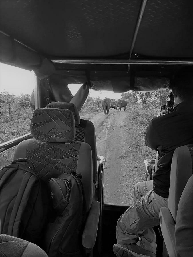 Elephant Lodge Udawalawe Kültér fotó