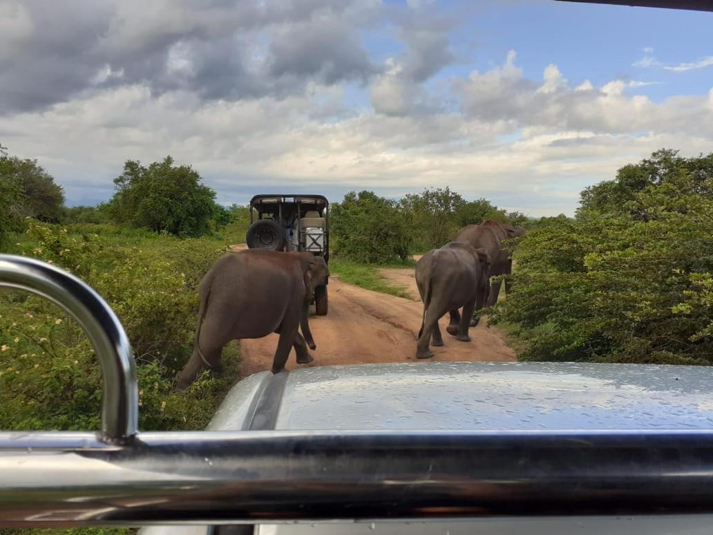 Elephant Lodge Udawalawe Kültér fotó