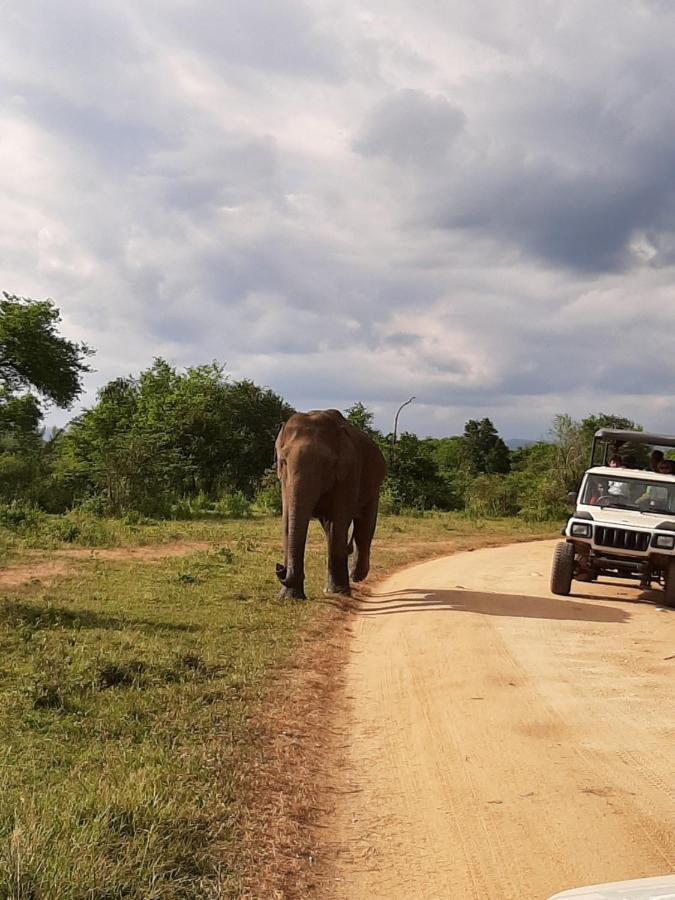 Elephant Lodge Udawalawe Kültér fotó